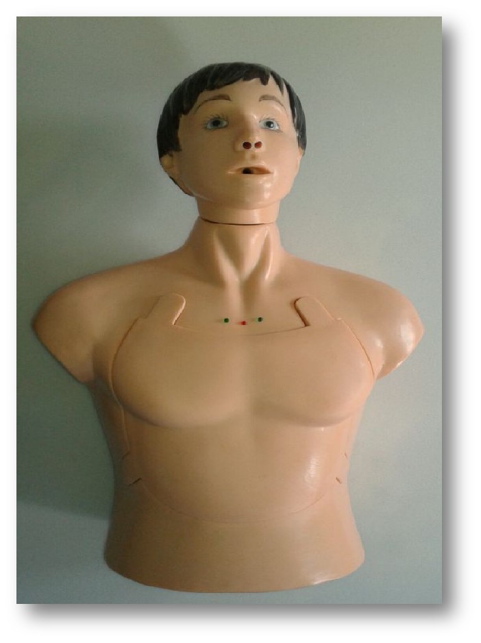 Phantom CPR Half Body